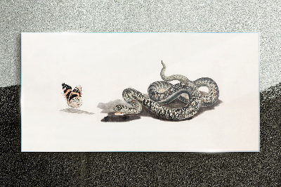 Glasbild Begegnung in der Natur