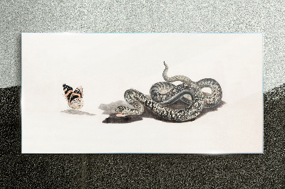 Glasbild Zeichnen eines Tierschlangenschmetterlings