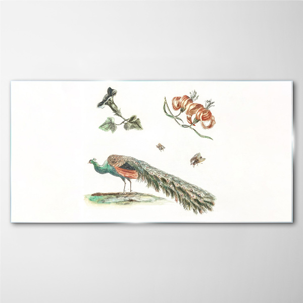 Glasbild Pfau zwischen Blumen und Insekten