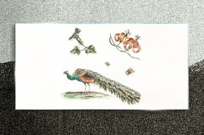 Glasbild Pfau zwischen Blumen und Insekten
