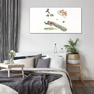 Glasbild Pfau zwischen Blumen und Insekten