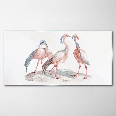 Glasbild Drei rosa Flamingos auf weißem Hintergrund