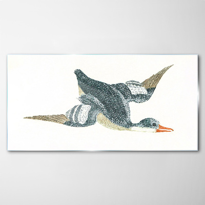 Glasbild Fliegende Ente in Pastelltönen