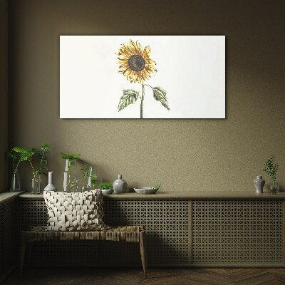 Bild auf glas Sonnenblume Blume auf weißem Hintergrund