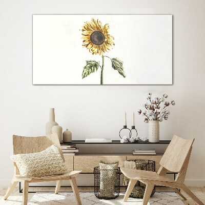Bild auf glas Sonnenblume Blume auf weißem Hintergrund