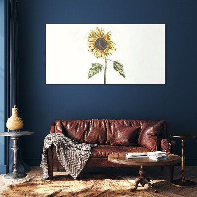 Bild auf glas Sonnenblume Blume auf weißem Hintergrund