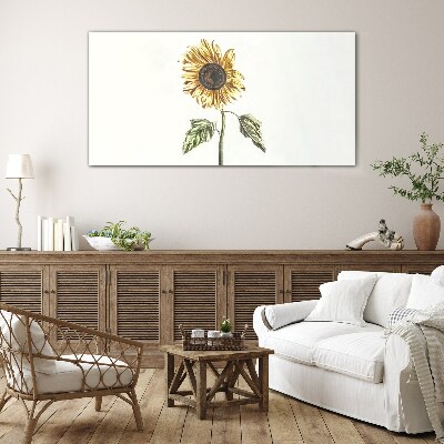 Bild auf glas Sonnenblume Blume auf weißem Hintergrund