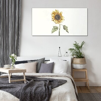 Bild auf glas Sonnenblume Blume auf weißem Hintergrund