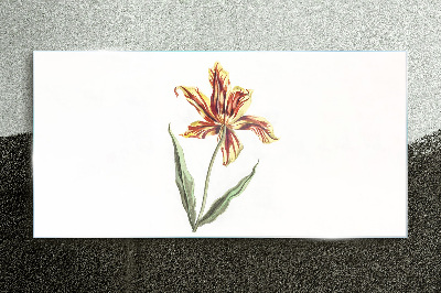Foto auf glas Blumenarrangement in warmen Farben