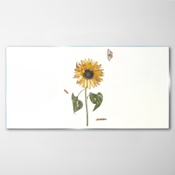 Glasbild Sonnenblume in zarter Komposition