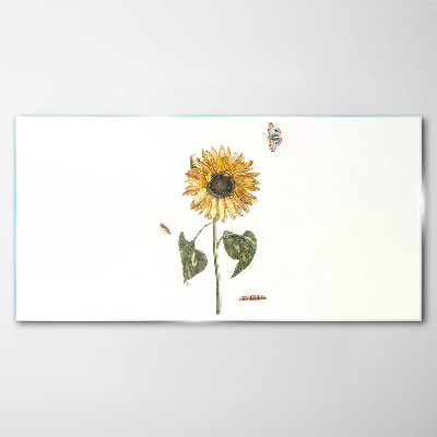 Glasbild Sonnenblume in zarter Komposition