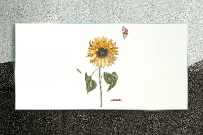 Glasbild Sonnenblume in zarter Komposition