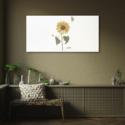 Glasbild Sonnenblume in zarter Komposition