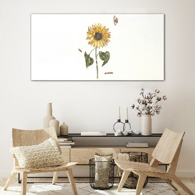 Glasbild Sonnenblume in zarter Komposition