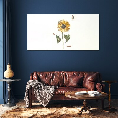 Glasbild Sonnenblume in zarter Komposition