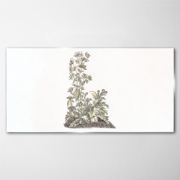 Glasbild Pflanzen in sanftem Licht