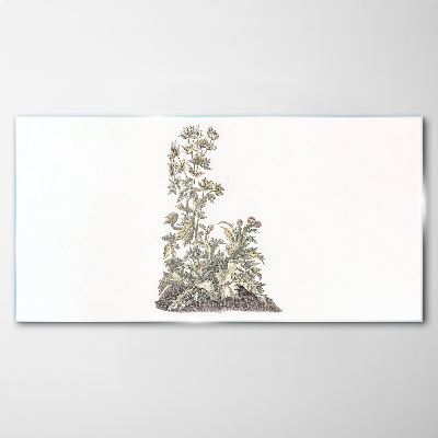Glasbild Pflanzen in sanftem Licht
