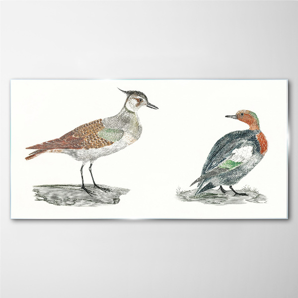 Glasbild Vögel in den Farben der Natur