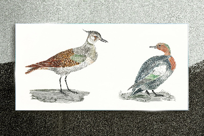 Glasbild Vögel in den Farben der Natur