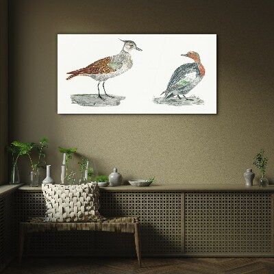 Glasbild Vögel in den Farben der Natur
