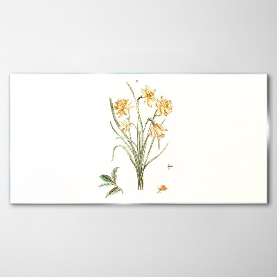 Glasbild Narzissenblüten mit Naturmotiv