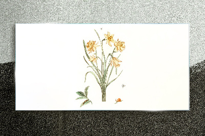 Glasbild Narzissenblüten mit Naturmotiv