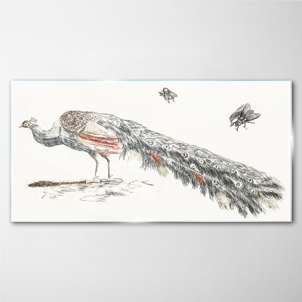 Glasbild Pfau mit Fliegen