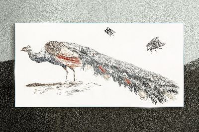 Glasbild Tiervogel-Pfau-Fliegen