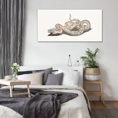 Glasbild Schlangenmuster mit bunten Details