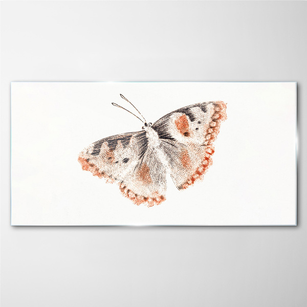 Glasbild Schmetterling auf weißem Hintergrund