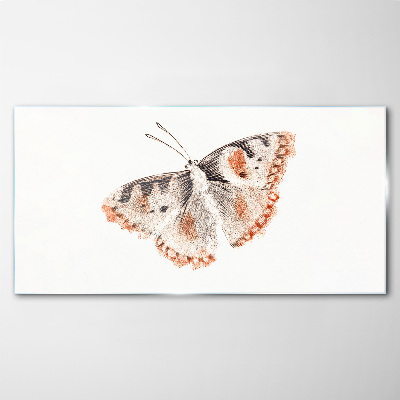 Glasbild Schmetterling auf weißem Hintergrund