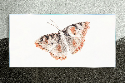 Glasbild Schmetterling auf weißem Hintergrund