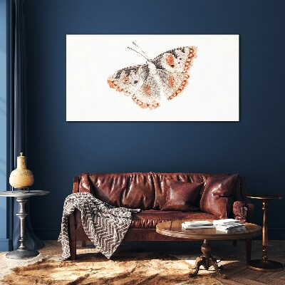 Glasbild Schmetterling auf weißem Hintergrund