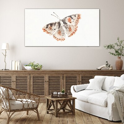 Glasbild Schmetterling auf weißem Hintergrund