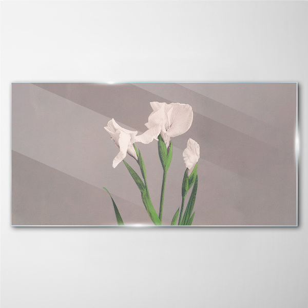 Glasbild Blumen auf grauem Hintergrund
