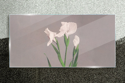 Glasbild Blumen auf grauem Hintergrund