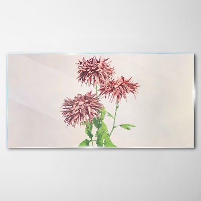 Glas bild Florale Inspirationen in zarten Farbtönen