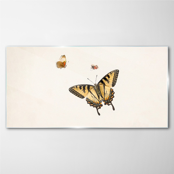 Glasbild Schmetterlinge in zarter Harmonie
