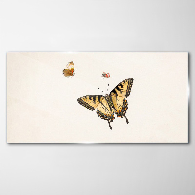 Glasbild Schmetterlinge in zarter Harmonie