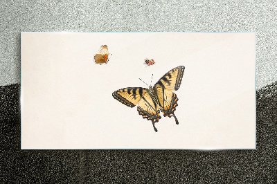 Glasbild Moderner Käfer-Insekten-Schmetterling