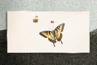 Glasbild Schmetterlinge in zarter Harmonie