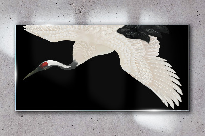 Foto auf glas Die Eleganz der weißen Kranichsilhouette