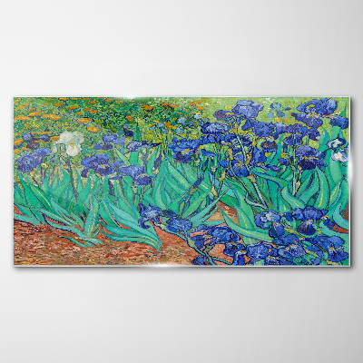 Glas bild Iris Van Gogh