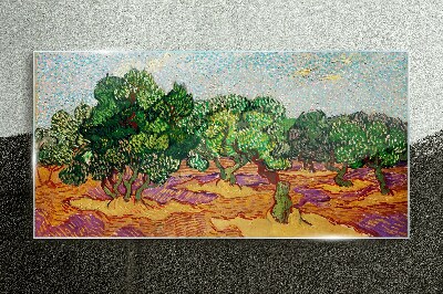 Glas bild Oliven in der Sonne