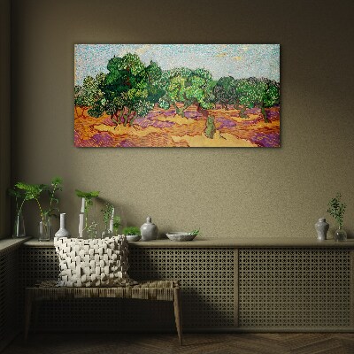 Glas bild Oliven in der Sonne