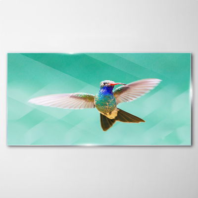 Glasbild Kolibri auf blauem Hintergrund