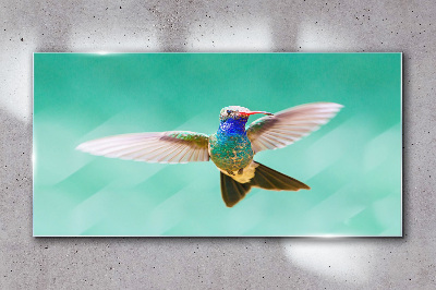 Glasbild Kolibri auf blauem Hintergrund