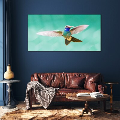 Glasbild Kolibri auf blauem Hintergrund