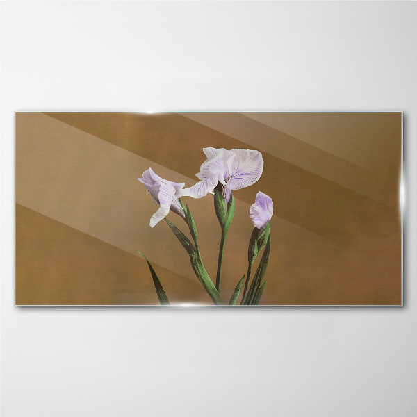Glasbild Irisblüten auf braunem Hintergrund