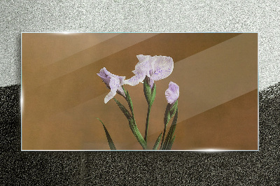 Glasbild Irisblüten auf braunem Hintergrund